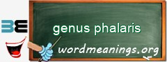 WordMeaning blackboard for genus phalaris